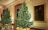 [ẢNH] Giáng sinh năm 2020 tại Nhà Trắng có gì khác biệt?