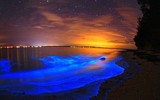 [ẢNH] Cảnh quan siêu thực trên những bãi biển độc lạ nhất hành tinh