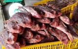 [ẢNH] Những loài cá có hình thù xấu xí nhưng giá bán đắt đỏ, có tiền cũng khó mua được