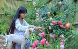 [ẢNH] Hành trình trở thành 'tiên nữ đồng quê' nổi tiếng trên YouTube của Lý Tử Thất