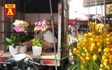 [ẢNH] Ngắm hoa ‘đẹp - độc - lạ’ ở chợ hoa Quảng An ngày giáp Tết 