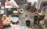 [ẢNH] Lời cảnh tỉnh sau video Thơ Nguyễn ‘xin vía học giỏi’ từ búp bê Kumanthong: Cha mẹ cần làm gì để bảo vệ trẻ? 