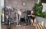 [ẢNH] Sao Việt mùa dịch: Tự Long đạp xe trong phòng, Trọng Tấn khoe vườn cây, dàn Hoa hậu mở studio tại gia