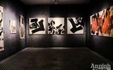 5 triển lãm nghệ thuật mở dịp đầu năm tại Hà Nội khiến người xem mê mẩn