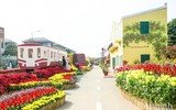 Đường hoa Home Hanoi Xuan 2022 rực rỡ đón du khách ghé thăm
