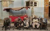 [Ảnh] Cuộc sống thường nhật ở Kabul sau 6 tuần Taliban kiểm soát Thủ đô