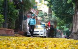 Mùa thu trên những con phố ở Hà Nội
