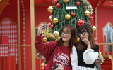 Giới trẻ thích thú check-in với những cây thông khổng lồ ở Hà Nội 
