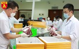 Chi viện gần 1.000 đơn vị máu tiếp sức đồng bào Tây Nam Bộ chống dịch Covid-19