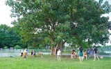 Cận cảnh công viên dành cho thú cưng tại Hà Nội