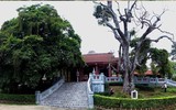 Chiêm ngưỡng cây di sản 2200 tuổi ở đất tổ Hùng Vương