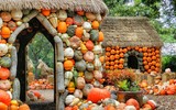 Ngôi làng cổ tích được làm từ 90.000 quả bí ngô để chào đón lễ hội Halloween