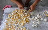 Kẹo cau Trung Quốc khiến giá cau tại Việt Nam tăng cao