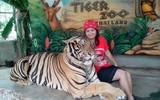 Độc đáo trại hổ Sriracha Tiger Zoo - lớn nhất châu Á