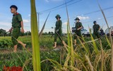 [Ảnh] Công an Thủ đô đội nắng, thâu đêm cứu lúa giúp nông dân trong khu phong tỏa