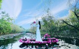 Ngỡ ngàng với cảnh đẹp như tranh của suối Yến chùa Hương mùa hoa súng tháng 11