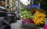 Khúc giao mùa đẹp tinh khôi khi hoa loa kèn xuống phố Hà Thành