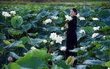 Ngỡ ngàng vẻ đẹp như tranh của thiếu nữ Hà Thành bên đầm sen độc đáo ở Thanh Oai