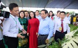 Thủ tướng Phạm Minh Chính trò chuyện với sinh viên nông nghiệp về bản lĩnh khởi nghiệp