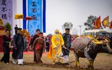 Khai mạc Lễ hội Tịch điền Đọi Sơn 2023 nhiều màu sắc rực rỡ hi vọng
