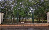 Cận cảnh công viên lớn ở Hà Nội được đề nghị tháo rào sắt phục vụ dân miễn phí