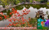 Ngắm hoa gạo đỏ rực soi bóng thủy đình cổ kính ở Hà Nội