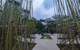 Ngắm vườn trúc độc đáo ngay giữa lòng Thủ đô