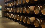Loại gỗ cho ra rượu có chất lượng thơm ngon, hảo hạng