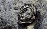 Kỳ lạ núi đá biết nở ''hoa hồng đá'' và tự tàn theo thời gian