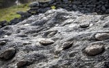 Tảng đá kỳ lạ tự “sinh con” suốt hàng trăm năm qua