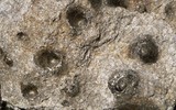 Tảng đá kỳ lạ tự “sinh con” suốt hàng trăm năm qua