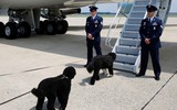 [ẢNH] Những đệ nhất thú cưng sống trong Nhà Trắng qua các đời Tổng thống Mỹ