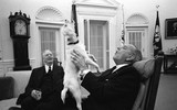 [ẢNH] Những đệ nhất thú cưng sống trong Nhà Trắng qua các đời Tổng thống Mỹ