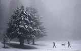 Cảnh tuyết phủ trắng xóa nhiều nơi trên thế giới