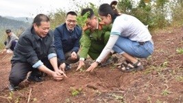 Gây quỹ thành công 50.000 cây gỗ lớn tặng các gia đình khó khăn tỉnh Quảng Bình