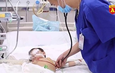 Cảnh báo số ca tử vong vì bệnh dại tăng đột biến