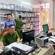 Triệu tập hơn 30 đối tượng liên quan đến đường dây làm giả giấy chứng nhận bệnh án