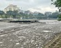 Nhiều đầm, ao ven hồ Tây rút nước cạn trơ đáy