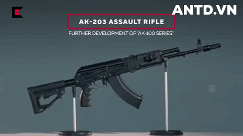Súng trường tấn công AK-203 được sản xuất với số lượng lớn tại Ấn Độ ảnh 3