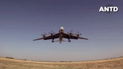 'Gấu bay' Tu-95MS Nga bị loạt chiến đấu cơ mạnh nhất của Mỹ - Nhật cùng áp sát ảnh 7