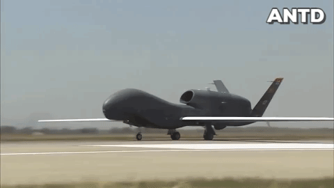 RQ-4 Global Hawk, UAV do thám tàng hình đỉnh cao của Mỹ ảnh 21