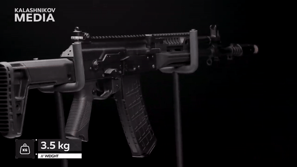 Nga đẩy mạnh sản xuất súng trường tấn công hiện đại AK-12 ảnh 9