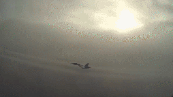 Vì sao Su-27 nằm trong số những chiến đấu cơ nguy hiểm nhất thế giới? ảnh 15