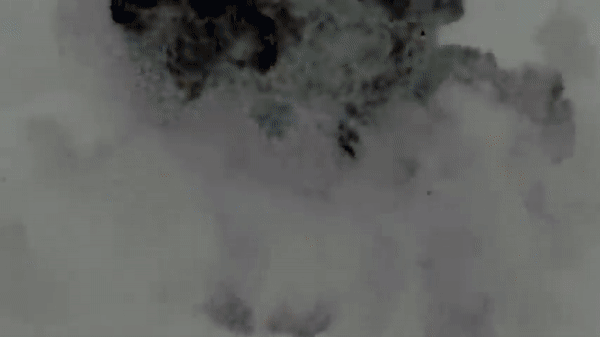 Nga đăng video tiêm kích áp sát UAV 'Thần chết' MQ-9 Mỹ ảnh 29
