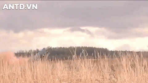 Tên lửa Neptune vụt trở thành ngôi sao sáng của quân đội Ukraine
