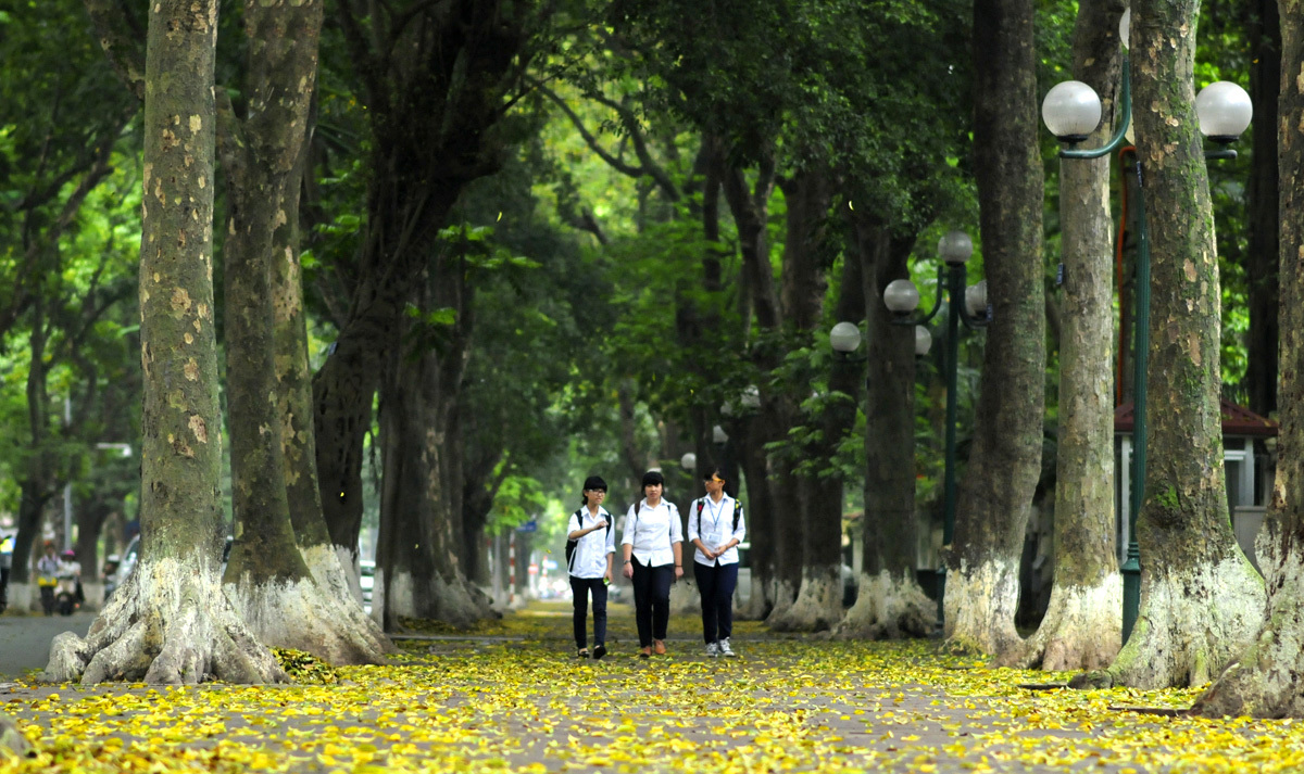 Phố tôi đẹp nhất Hà thành ảnh 3