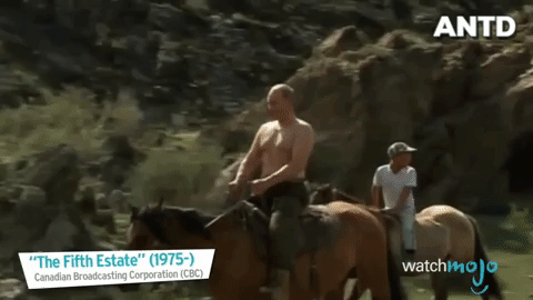Hình ảnh sống động về góc khuất đời thường của vị tổng thống uy lực nhất thế giới Vladimir Putin