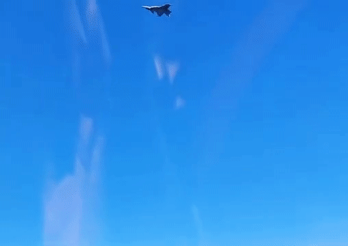[ẢNH] Tiêm kích JAS-39 Gripen Thụy Điển gửi 
