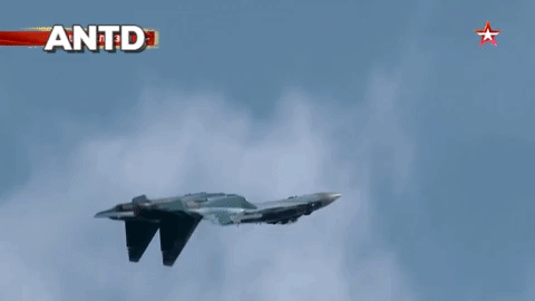 [ẢNH] Hầu hết Su-35 Nga không được trang bị động cơ lực đẩy 3D?