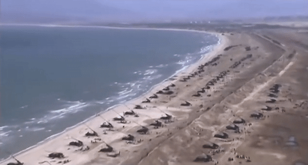Triều Tiên bất ngờ cho trận địa pháo khai hỏa ra biển để thị uy